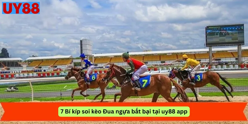 7 Bí kíp soi kèo Đua ngựa bất bại tại uy88 app