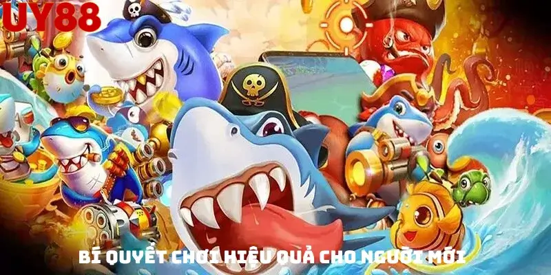 Bí Quyết Chơi Hiệu Quả Cho Người Mới