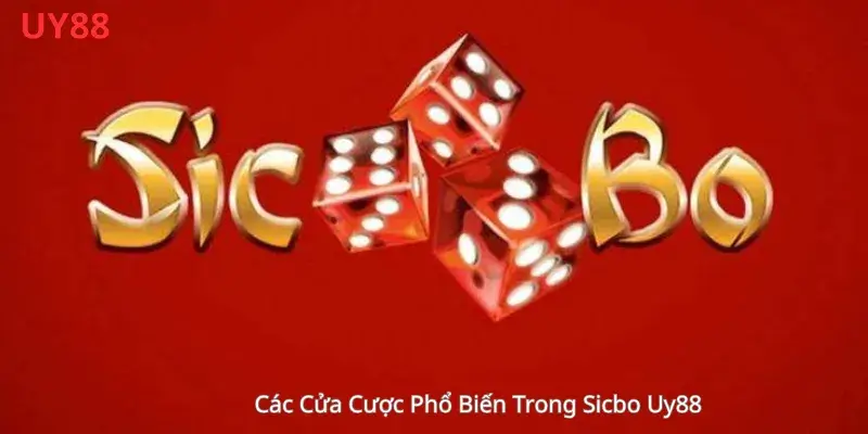 Các Cửa Cược Phổ Biến Trong Sicbo Uy88