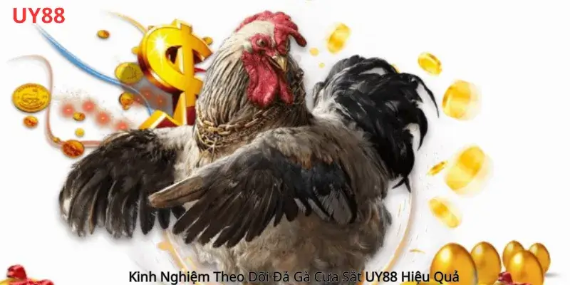 Kinh Nghiệm Theo Dõi Đá Gà Cựa Sắt Uy88 Hiệu Quả