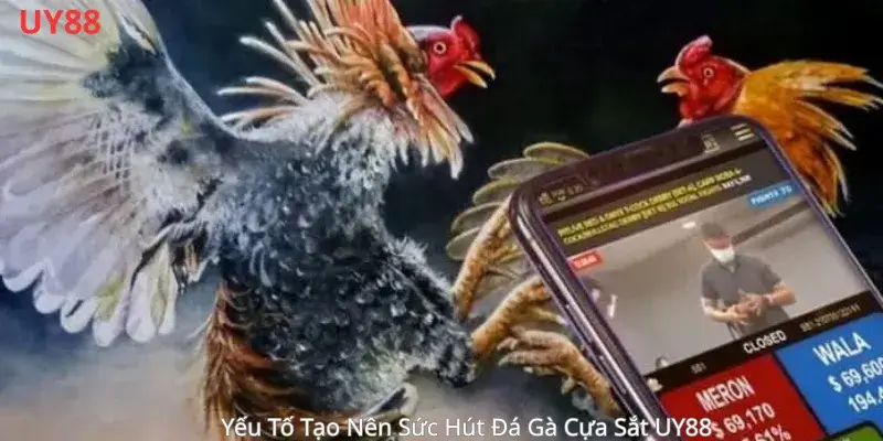 Những yếu tố tạo nên sức hút đá gà cựa sắt uy88