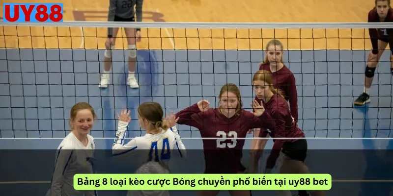 Bảng 8 loại kèo cược Bóng chuyền phổ biến tại uy88 bet