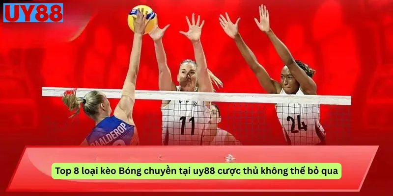 Top 8 loại kèo Bóng chuyền tại uy88 cược thủ không thể bỏ qua